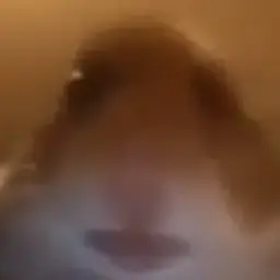 youie