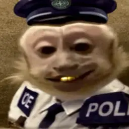 mafiel
