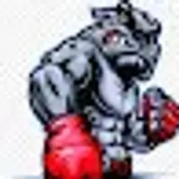 denchiktop