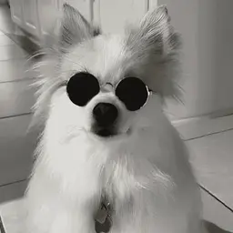 VORBIK