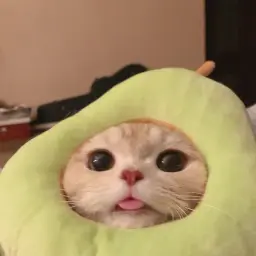 deniknoobtv