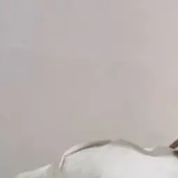 alexeymjwerfhwej
