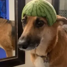 рехаб