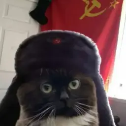 sexigorka228