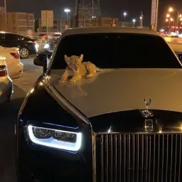 фэсиллен