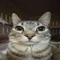 d0rab1x