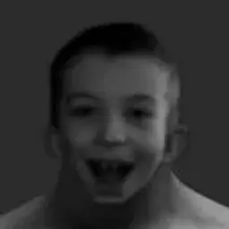 sagailivladik