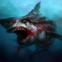 sharkwork111