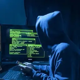 pashadeveloper