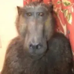 GoldW0rker