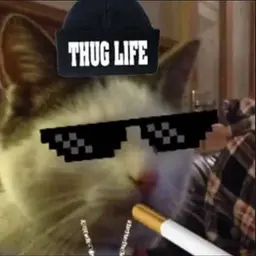 MaxsikLolTeam
