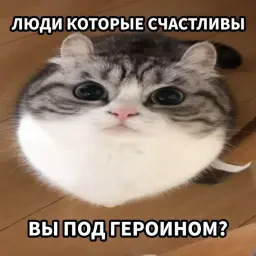 Useleeess