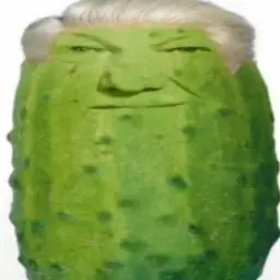 trtrtr245