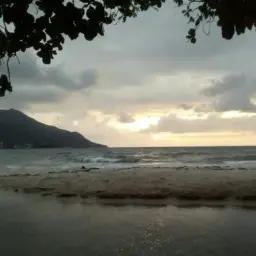 id497141588