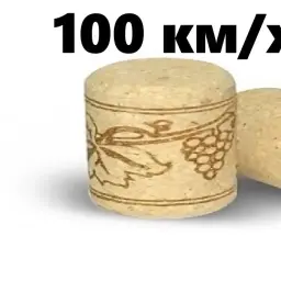 ЧикиДомик