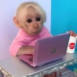 den4iq