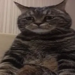 dbnkmnd999999
