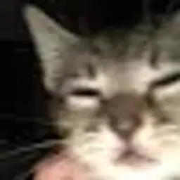 Клашалаьа