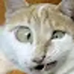 1231dfsdf
