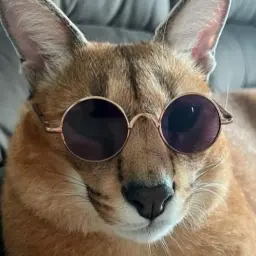 DenkerX