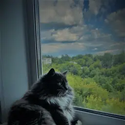 йупийо