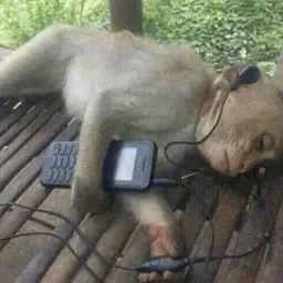 dubyflex