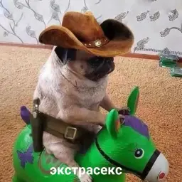 Vp_Yaroslav