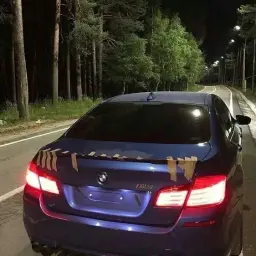 этанепростагнев