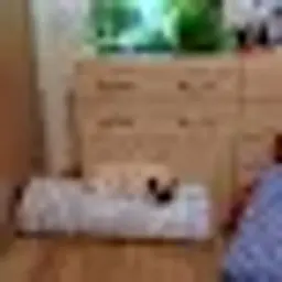 basker