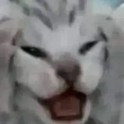 ritafotina