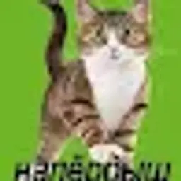 dfgfgh