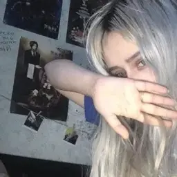 danqa1337