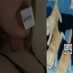 wendd