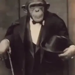 banan_kot_haha