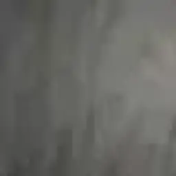 ltborgas