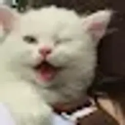nurti