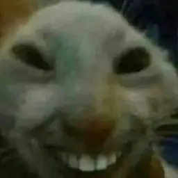 JJKGFHOJK