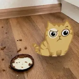 zxqupp