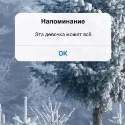 id706244773