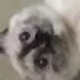 dwdwwdd