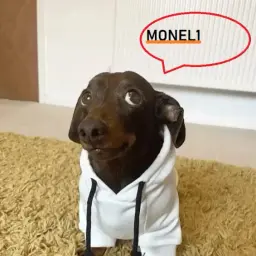 monel1