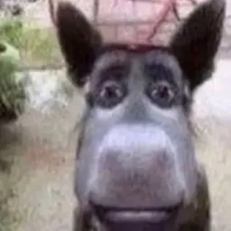 skoype