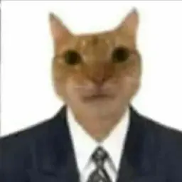 karolivan