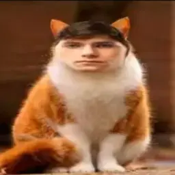 h0mie228