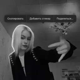 zastegnishirinky