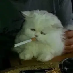 ЯвсегдаРядом