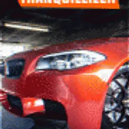 tranquillizer
