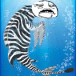 ZebraDelfin