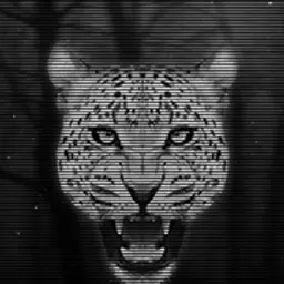 Mr.JaGuaR