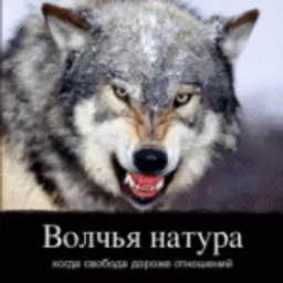 mazila.kom